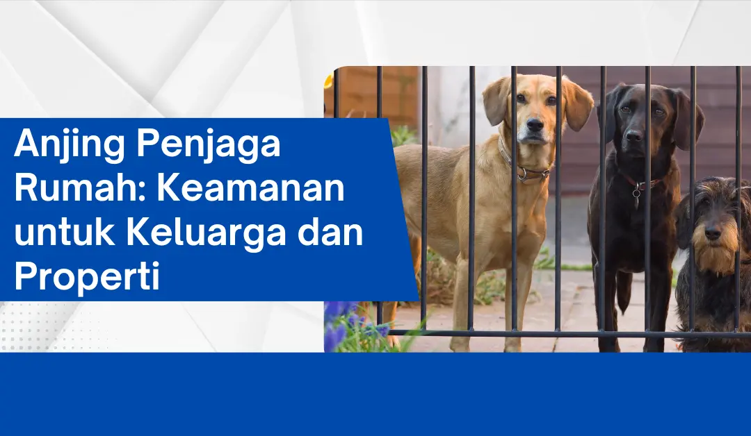 Anjing Penjaga Rumah: Keamanan untuk Keluarga dan Properti