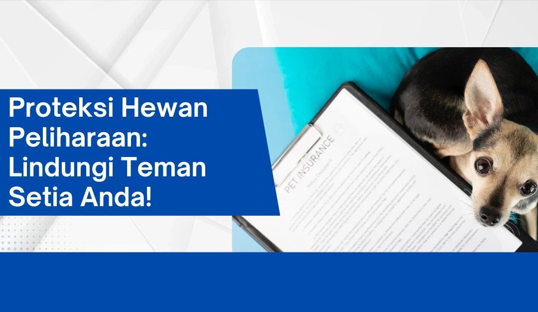 proteksi-hewan-peliharaan:-lindungi-teman-setia-anda!