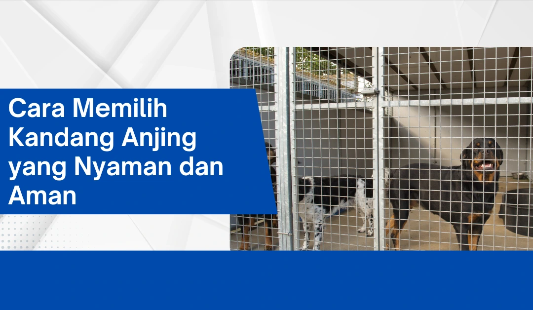 cara-memilih-kandang-anjing-yang-nyaman-dan-aman