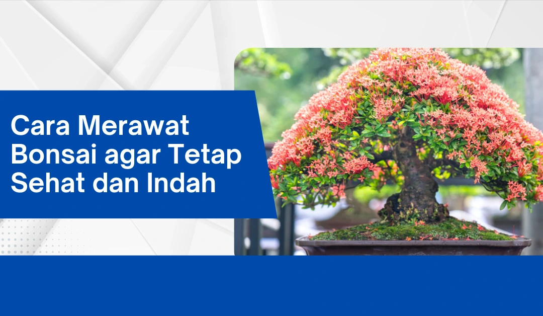 Cara Merawat Bonsai agar Tetap Sehat dan Indah