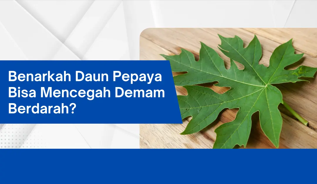 benarkah-daun-pepaya-bisa-mencegah-demam-berdarah?