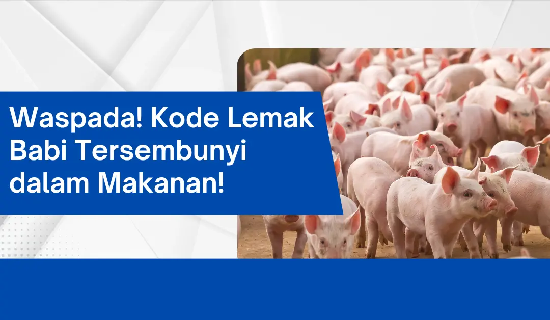 waspada!-kode-lemak-babi-tersembunyi-dalam-makanan!