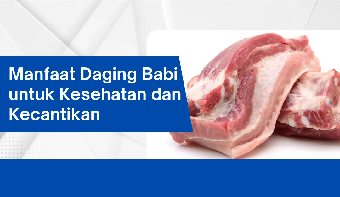 Manfaat Daging Babi untuk Kesehatan dan Kecantikan