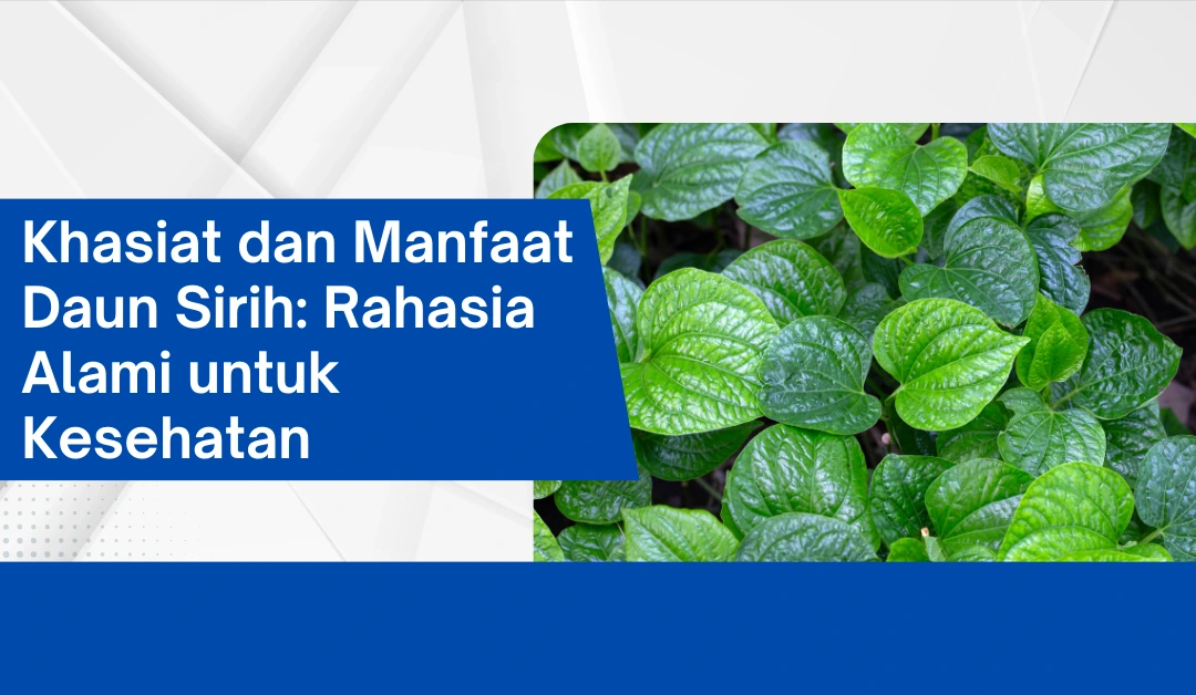 khasiat-dan-manfaat-daun-sirih:-rahasia-alami-untuk-kesehatan